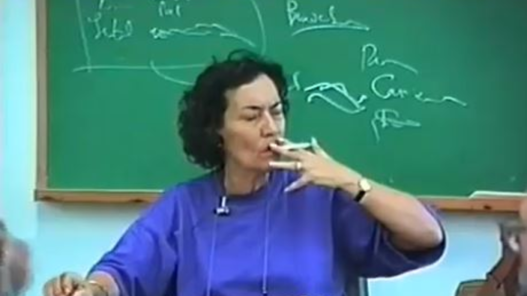 Maria da Conceição Tavares. Que professora é essa?
